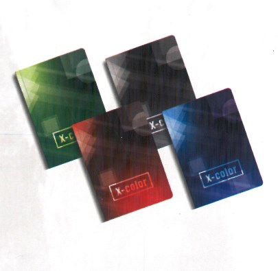Тетрадка X-color, м.ф., 200л., 80гр., тв.кор., ред, 236